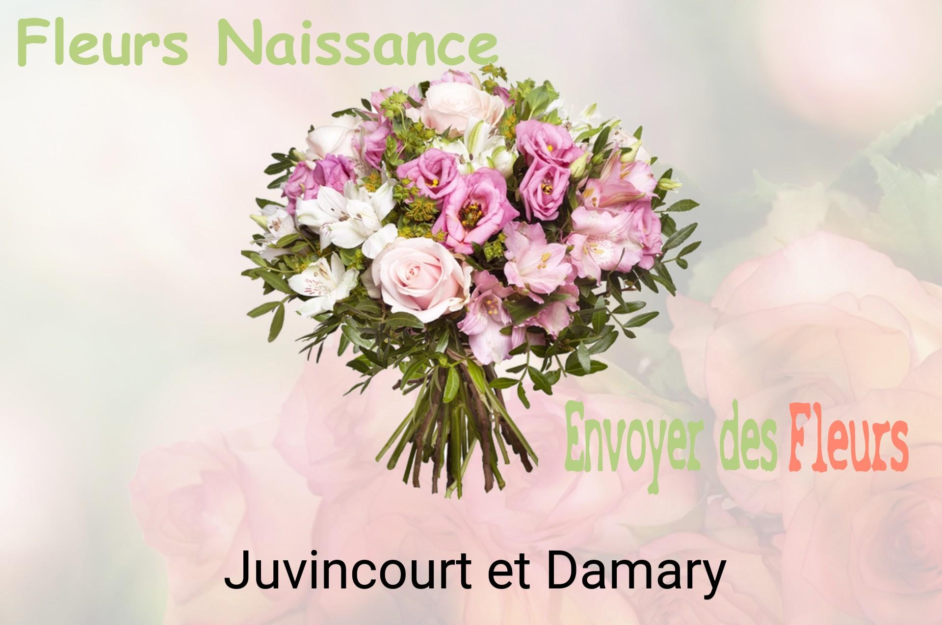 Bouquet de fleurs de naissance livré à Juvincourt-et-Damary